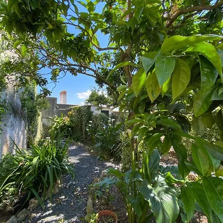 Casa Do Toupeiro بيت ضيافة 3*