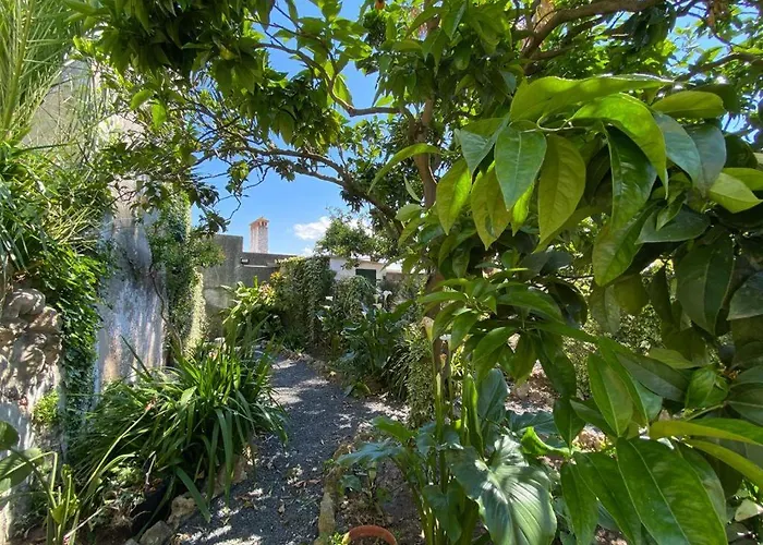 Casa Do Toupeiro Affittacamere 3*